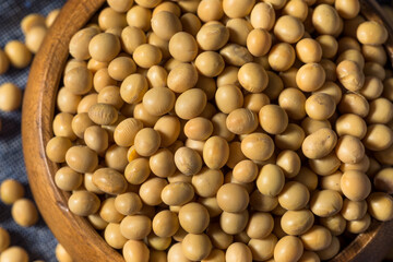 Dry Organic Soy Beans