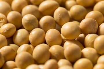 Dry Organic Soy Beans