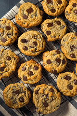 Homemade Tahini Chocolate Chip Cookies