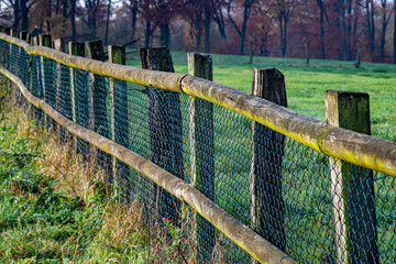 Fence between meadow and path