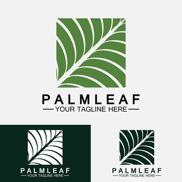 Tropical Palm Leaf Logo Vector Design Template