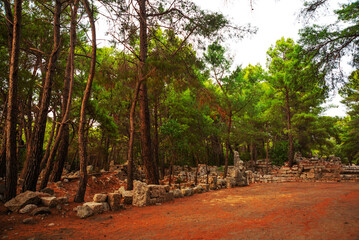 PHASELIS, TURKEY: The main avenue of the Ancient city of Phaselis with a length of 150 meters.