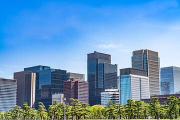 東京の都市風景 皇居外苑から見る大手町周辺のビル群