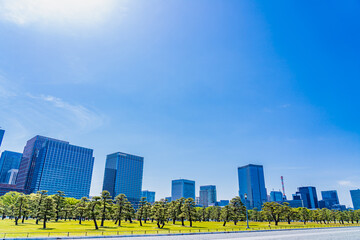 Fototapeta premium 東京の都市風景 皇居外苑から見る丸の内と日比谷周辺のビル群