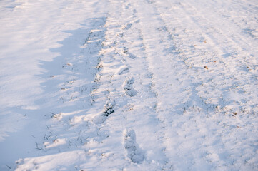 Fototapeta na wymiar Winter landscape. Trail of footprints in the snow in the light of the setting sun.