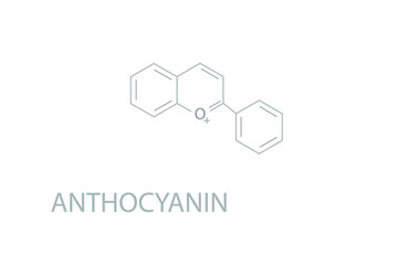 Anthocyanin molecular skeletal chemical formula.