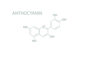 Anthocyanin molecular skeletal chemical formula.