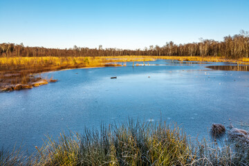 Hamburg, Germany. The nature reserve Wittmoor in winter. It is the last upland moor in northern Hamburg and is a popular local recreation area.