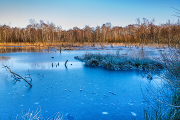 Hamburg, Germany. The nature reserve Wittmoor in winter. It is the last upland moor in northern...
