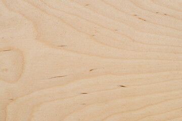 Fototapeta na wymiar Cross-section of the wood plank. Wood plank texture with its natural pattern