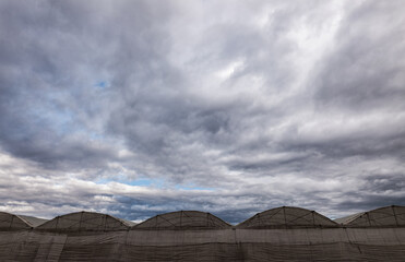 Fototapeta premium Plastic greenhouses against cloudy sky in Almeria, Spain