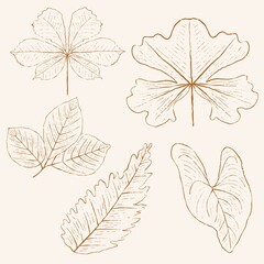 Fototapeta premium hand drawn leaf line art, hand drawn nature painting. Free hand sketch illustration.