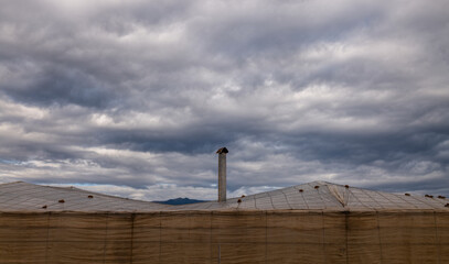 Fototapeta premium Plastic greenhouses against cloudy sky in Almeria, Spain