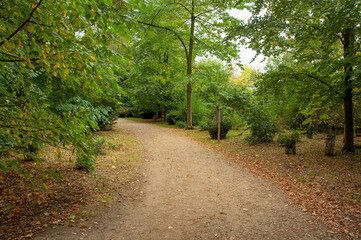 Autumn leaves upon the trees.