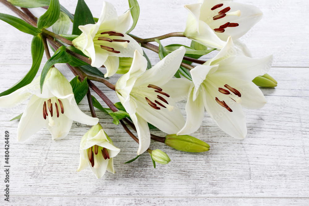 Sticker White lilies on wooden background.