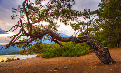 PHASELIS, TURKEY: Beautiful view from the beach to the sea and mountains in the ancient city of Phaselis at sunset.