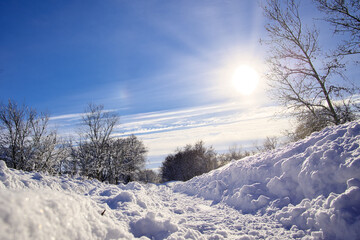 winter forest on a beautiful clear frosty day with bright sun and blue sky 