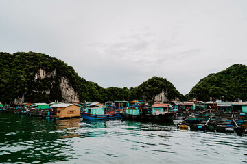 Obraz premium Halong Bay, Vietnam