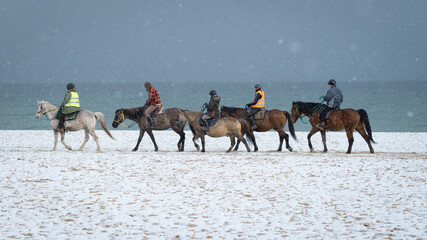 People on horses against the background of the sea in winter day - obrazy, fototapety, plakaty