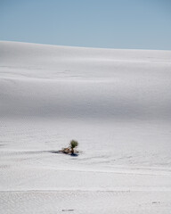 White Sands National Park