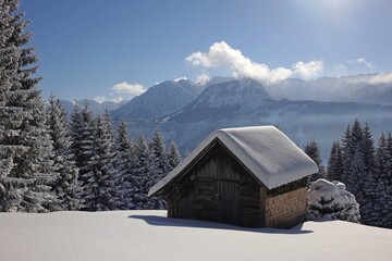 Allgäuer Winterlandschaft