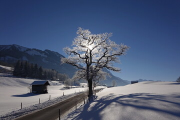 Allgäuer Winterlandschaft