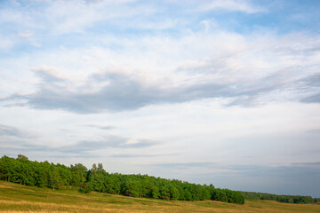 Fototapeta na wymiar Field and green trees on the hill.