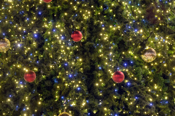 Christmas trees with many colorful balls as background front view close up