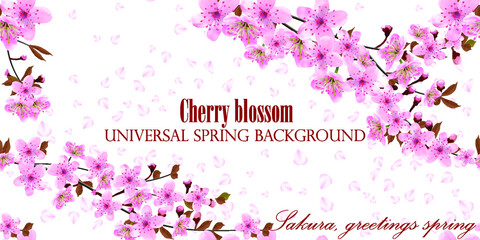 Fototapeta na wymiar Cherry blossom floral pattern. Blossoming branches of Japanese cherry and falling petals, universal spring background, postcard, banner. Pink Sakura texture, EPS 10, vector