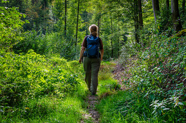 Wandern auf einem Singletrail im Wispertal im Taunus