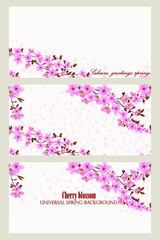 Cherry blossom floral card. Blossoming branches of Japanese cherry and falling petals, universal spring background, postcard, banner. Pink Sakura texture, EPS 10, vector