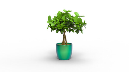 small tree on pot with shadow 3d render