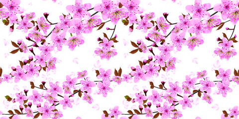Blossoming branches of Japanese cherry 
with flying petals on white background. Pink Sakura floral  texture, horizontal border, spring card, banner, vector illustration