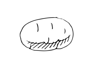 Potato tuber ripe vegetable. Edible vegetable fruit. Hand drawing outline. Sketch isolated on a white background. Vector