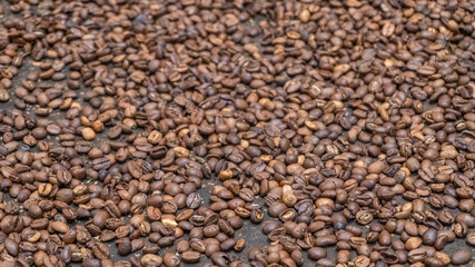 Roasted coffee beans, organic food