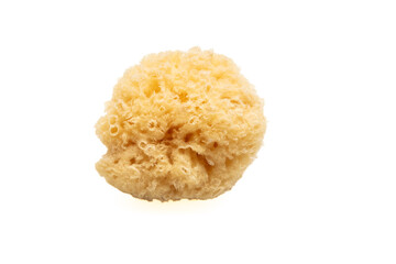 Natural bath sponge isolated cutout on white background. Face cleaning and body care