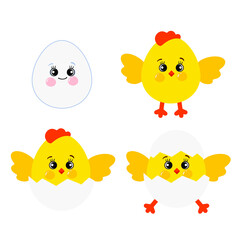 A collection of cartoon chickens. Cute chick character set vector drawn illustration isolated on white background. The chicken hatches from the egg. Chicken roost. Cute farm animals