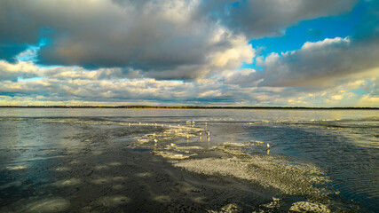 Aerial view of seagulls on a frozen lake