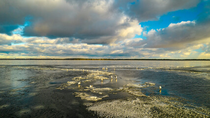 Aerial view of seagulls on a frozen lake