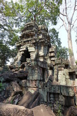 Fototapeta premium Adventure of exploring mystic Ta Prohm temple overgrown by jungle trees (vertical image), Siem Reap, Cambodia