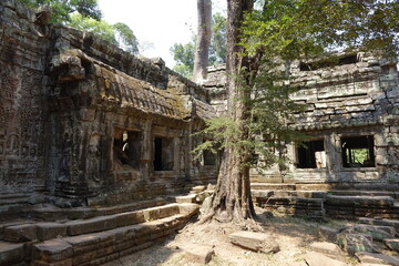 Fototapeta premium Adventure of exploring mystic Ta Prohm temple overgrown by jungle trees (horizontal image), Siem Reap, Cambodia