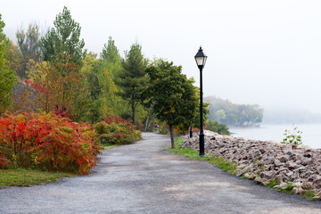 Selective focus view of red sumac bushes on the Jacques-Cartier walk along the St. Lawrence River...