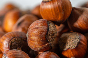 Hazelnuts in the shell. Round filbert, ripe fruit of a Corylus avellana hazel shrubs.