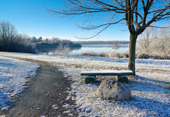 Drochower See im Lausitzer Seenland im Winter, Deutschland - Drochow Lake in Lusatian Lake District in winter - 480439661