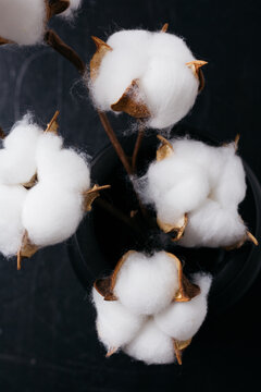 branch of cotton in a black matte vase. spring collection for greeting cards and desktop wallpapers. concept: decor for the interest of the living room