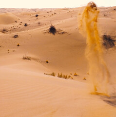 desert