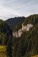 Beautiful gorges in the Romanian mountains. Carpathians.