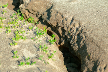 Big crack in the ground. Soil displacement crack