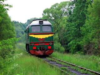 Fototapeta premium Diesel locomotive rides along the track