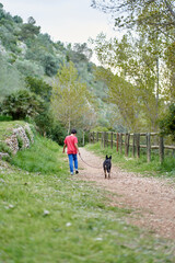 Obraz premium Cute little boy, walking his little pet dog in rural rapeseed field next to him, boy walking on a small path